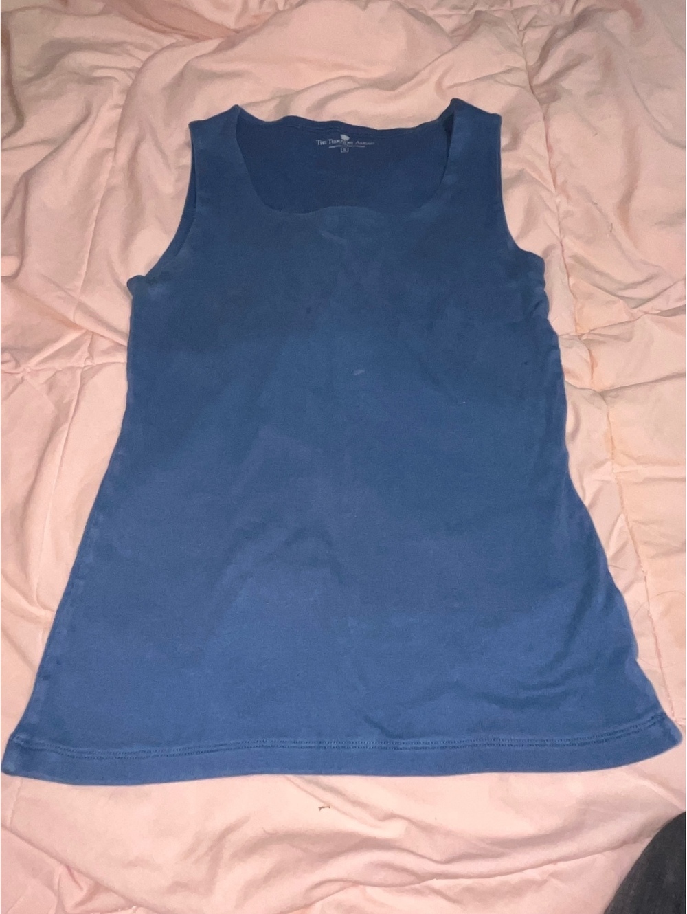 The Territory Ahead Blue Cotton Tank Top Size S